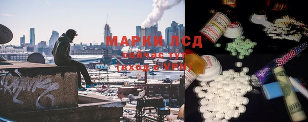 сатива Абинск