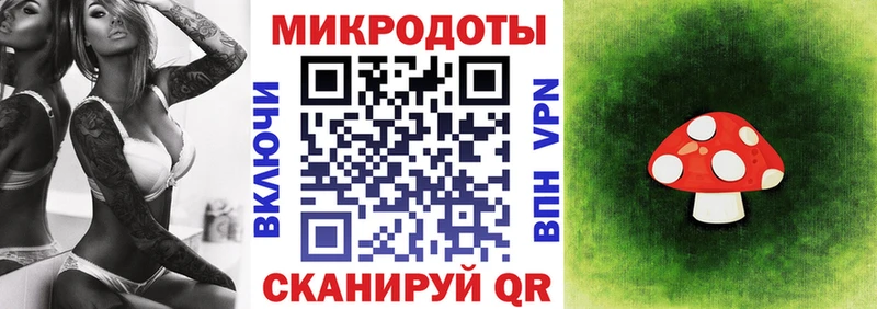 Галлюциногенные грибы Psilocybe  Никольское 